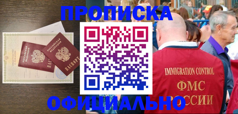 прописка 2025 в Курчалом